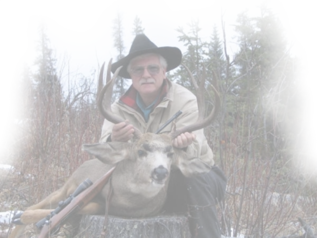 Moose Hunting in British Columbia