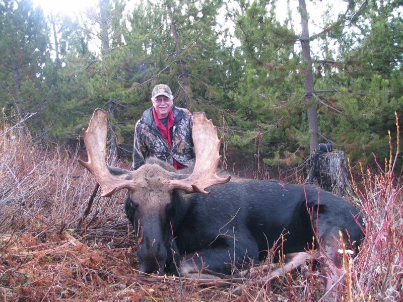moose hunting in bc