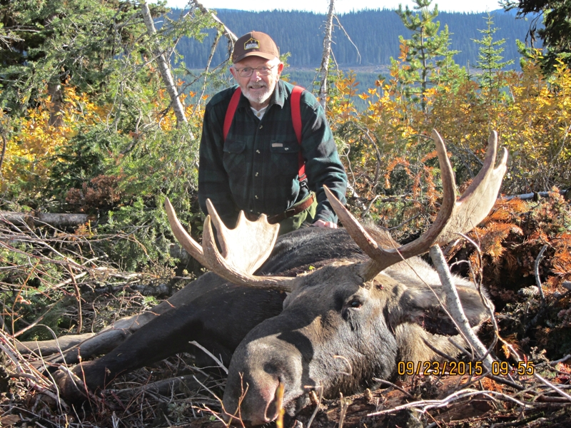 moose hunting in british columbia
