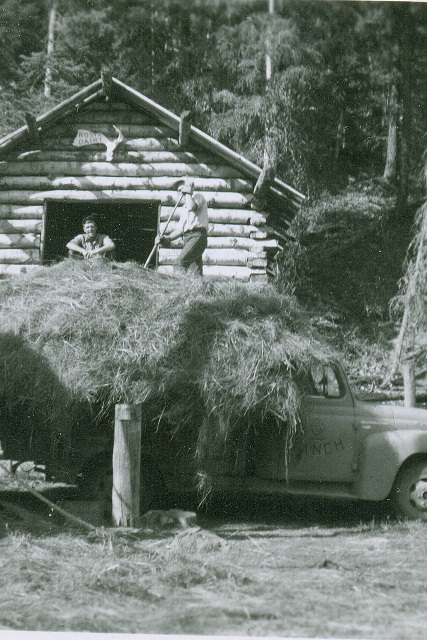Cowbarn at homeplace at Beaver Creek - 1950's
